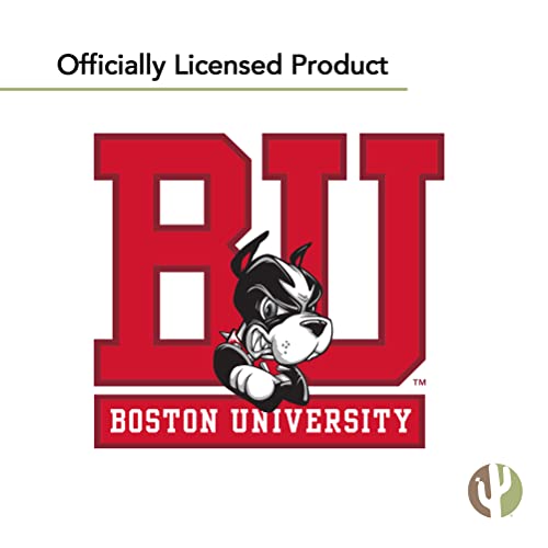 Desert Cactus Boston University Flag Terriers BU Flags Banners 100% Polyester Indoor Outdoor 3x5 (Style 3) - 757 Sports Collectibles