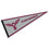 College Flags & Banners Co. Texas Womans Pioneers Pennant - 757 Sports Collectibles