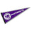 College Flags & Banners Co. High Point Panthers Pennant - 757 Sports Collectibles