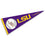 College Flags & Banners Co. LSU Tigers Baseball Pennant - 757 Sports Collectibles