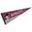 College Flags & Banners Co. New Mexico State Aggies Pennant Full Size Felt - 757 Sports Collectibles