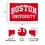 Desert Cactus Boston University Flag Terriers BU Flags Banners 100% Polyester Indoor Outdoor 3x5 (Style 1) - 757 Sports Collectibles