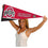 College Flags & Banners Co. Ohio State Pennant Full Size Felt - 757 Sports Collectibles