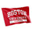 Desert Cactus Boston University Flag Terriers BU Flags Banners 100% Polyester Indoor Outdoor 3x5 (Style 3) - 757 Sports Collectibles