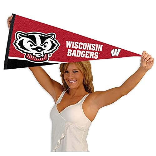 College Flags & Banners Co. Wisconsin Badgers Full Size Bucky Head Pennant - 757 Sports Collectibles