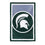 Team Sports America NCAA Double Sided Michigan State University House Flag Officially Licensed Sports Flag for Home Office Yard Sports Gift - 757 Sports Collectibles