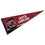 College Flags & Banners Co. South Carolina Gamecocks Pennant Full Size Felt - 757 Sports Collectibles