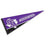 College Flags & Banners Co. Stephen F Austin State Pennant Full Size Felt - 757 Sports Collectibles