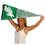 North Texas Mean Green Pennant Throwback Vintage Banner - 757 Sports Collectibles