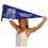 College Flags & Banners Co. Tennessee State University Pennant Full Size Felt - 757 Sports Collectibles