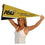 College Flags & Banners Co. Alabama State Pennant Full Size Felt - 757 Sports Collectibles