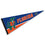 College Flags & Banners Co. Florida Gators Pennant Full Size Felt - 757 Sports Collectibles