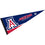 College Flags & Banners Co. Arizona Wildcats Pennant Full Size Felt - 757 Sports Collectibles