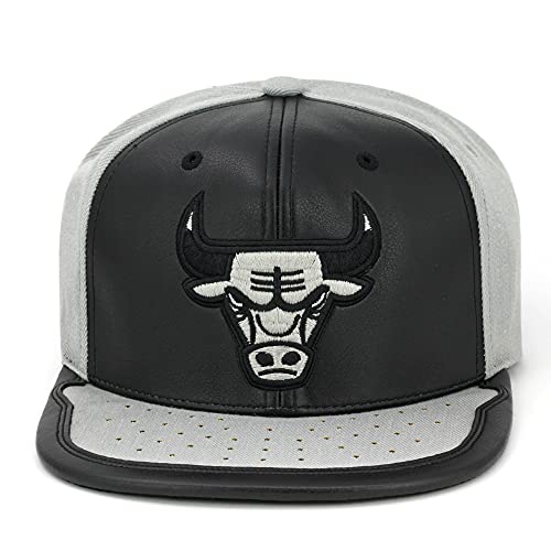 Mitchell & Ness Chicago Bulls Jordan Day ONE Snapback NBA Hat - Black/Gray - 757 Sports Collectibles