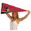 College Flags & Banners Co. Illinois State Redbirds Pennant Full Size Felt - 757 Sports Collectibles