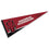 College Flags & Banners Co. Arkansas Razorbacks Pennant Full Size Felt - 757 Sports Collectibles