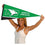 College Flags & Banners Co. North Dakota Fighting Hawks ND Hawk Logo Pennant - 757 Sports Collectibles