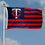 Minnesota Twins Stars and Stripes Nation 3x5 Flag - 757 Sports Collectibles
