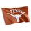 Desert Cactus University of Texas Flag Longhorns UT Austin Flags Banners 100% Polyester Indoor Outdoor 3x5 (Style 4) - 757 Sports Collectibles
