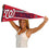 WinCraft Washington Nationals Large Pennant - 757 Sports Collectibles