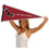 College Flags & Banners Co. Saint Joseph's Hawks Pennant Full Size Felt - 757 Sports Collectibles