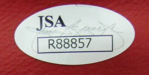 Alan Minter UK Haglee Signed Everlast Boxing Glove JSA 134508 - 757 Sports Collectibles