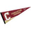 College of Charleston Pennant Full Size Felt - 757 Sports Collectibles