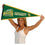 College Flags & Banners Co. George Mason Patriots Pennant - 757 Sports Collectibles