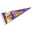 WinCraft Minnesota Vikings Throwback Vintage Retro Pennant Flag - 757 Sports Collectibles