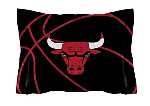 NORTHWEST NBA Chicago Bulls Comforter and Sham Set, Twin, Reverse Slam - 757 Sports Collectibles