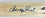 Pirates Andrew McCutchen Signed Game Used Rookie Baseball Bat PSA Rookiegraph - 757 Sports Collectibles