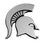 FANMATS - 14866 NCAA Michigan State University Spartans Chrome Team Emblem 2.1"x3.2" - 757 Sports Collectibles