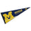 College Flags & Banners Co. Michigan Wolverines Pennant Full Size Felt - 757 Sports Collectibles