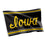 Desert Cactus University of Iowa Flag Hawkeyes Flags Banners 100% Polyester Indoor Outdoor 3x5 (Vintage B) - 757 Sports Collectibles