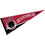 College Flags & Banners Co. MIT Pennant Full Size Felt - 757 Sports Collectibles