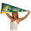 College Flags & Banners Co. Northern Michigan Wildcats Pennant Full Size Felt - 757 Sports Collectibles