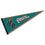 CCU Chanticleers Felt College Pennant - 757 Sports Collectibles