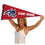 College Flags & Banners Co. Stony Brook Seawolves Pennant Full Size Felt - 757 Sports Collectibles