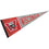 Wisconsin Badgers Pennant Throwback Vintage Banner - 757 Sports Collectibles