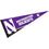 College Flags & Banners Co. Northwestern University Pennant Full Size Felt - 757 Sports Collectibles