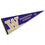 College Flags & Banners Co. University of Washington Pennant Full Size Felt - 757 Sports Collectibles