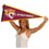 College Flags & Banners Co. Bethune Cookman Wildcats Pennant - 757 Sports Collectibles