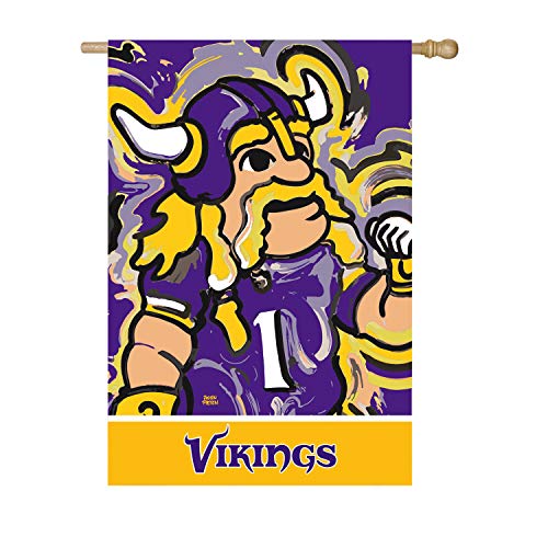 Team Sports America Minnesota Vikings, Embossed Suede Indoor Outdoor Flag Justin Patten - 757 Sports Collectibles