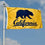 College Flags & Banners Co. Cal Berkeley Golden Bears Walking Bear Grommet Flag - 757 Sports Collectibles