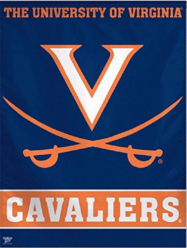 WinCraft NCAA University of Virginia Vertical Flag, 27" x 37" - 757 Sports Collectibles