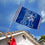 College Flags & Banners Co. Kentucky Wildcats Vintage Retro Throwback 3x5 Banner Flag - 757 Sports Collectibles