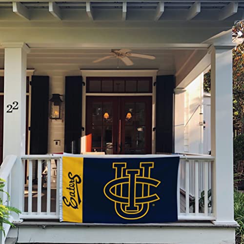 Desert Cactus University of California Irvine Flag Flags Banners 100% Polyester Indoor Outdoor 3x5 (Team Name) - 757 Sports Collectibles
