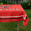 College Flags & Banners Co. Texas Tech Red Raiders Logo Tablecloth or Table Overlay - 757 Sports Collectibles
