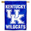 College Flags & Banners Co. Kentucky UK Wildcats New Logo Double Sided House Flag - 757 Sports Collectibles