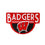 Team Sports America Officially Licensed NCAA Fan Gear University of Wisconsin-Madison, Shaped Coir Door Mat Floor Mat Sports Accessories and Gift for Home Office and Fan Cave - 757 Sports Collectibles